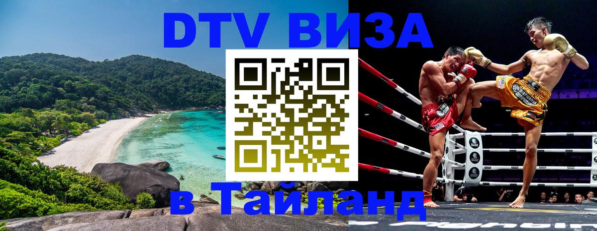 Оформление DTV визы под ключ: стоимость и тарифы, только загранпаспорт - 